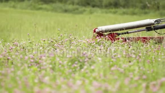 三叶草地农业红机割草视频的预览图