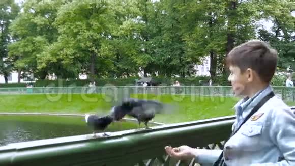 公园里的男孩喂鸽子视频的预览图