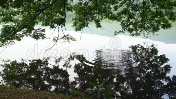 泻湖平静的水面上荡漾着天空的倒影从石头扔入水中视频的预览图