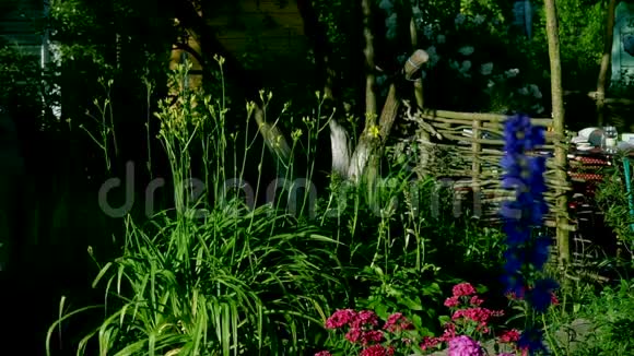 一位老妇人在乡间小屋的花园里浇花视频的预览图
