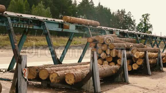 木工工厂的自动输送机现代锯木厂的传送带视频的预览图