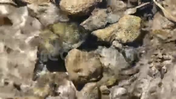 溪流中的水流和岩石视频的预览图