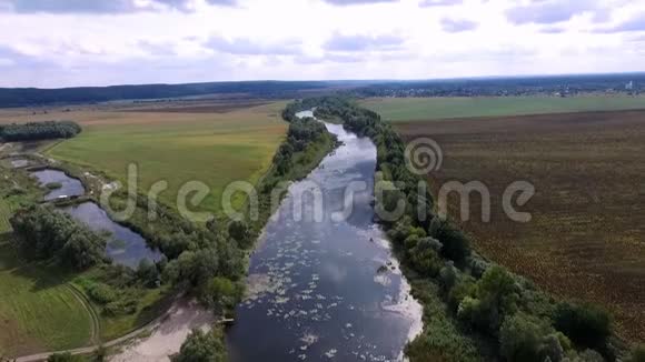 航空录像夏天下午河流景观周围有树木田野和草地视频的预览图