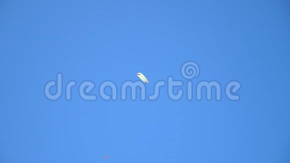 几架滑翔伞在夏日晴朗的蓝天上翱翔无法辨认的人乘降落伞在空中飞行视频的预览图