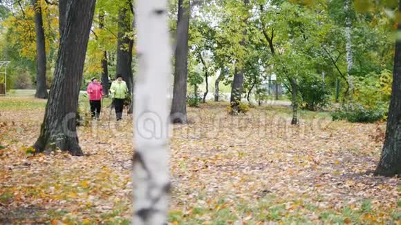 两位老年妇女正在公园里散步秋季季节视频的预览图