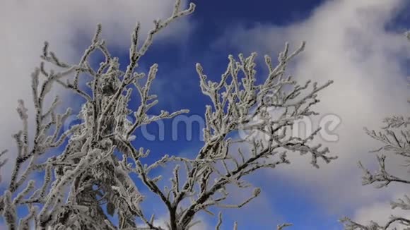 白雪覆盖的树木白云蓝天和山脉视频的预览图