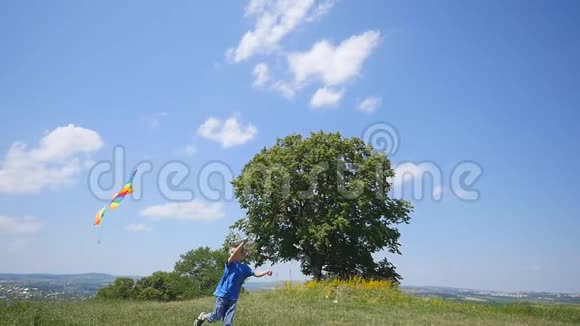 小男孩喜欢与飞行风筝一起散步在自然野餐上玩得开心慢动作视频的预览图