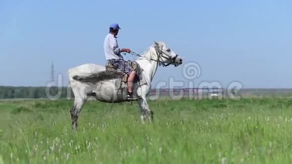 一个人坐在一匹白马上在阳光明媚的日子里望着远处视频的预览图