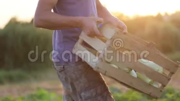 农夫带着一盒木南瓜去田间把它放在地上视频的预览图