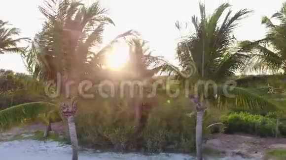 空中无人机射击镜头缓缓地飞到椰子掌心上方加勒比海沿岸美丽的日落视频的预览图