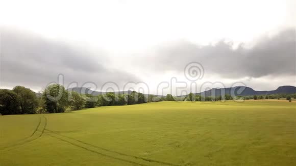 空中无人机飞越苏格兰高地的绿草地视频的预览图
