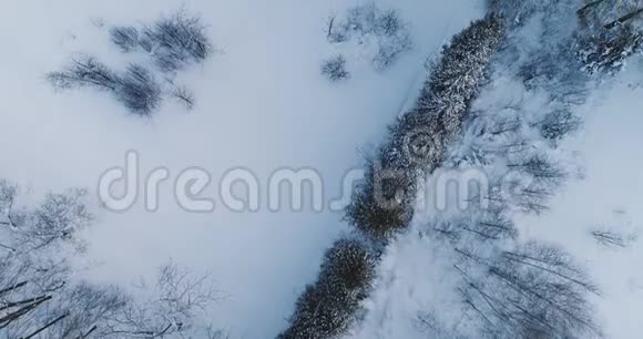 空中视频顶部观看美丽的冬季森林公园与树木在雪视频的预览图