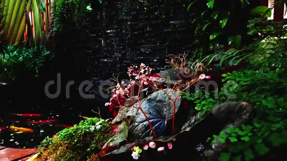 花园五颜六色的植物瀑布视频的预览图