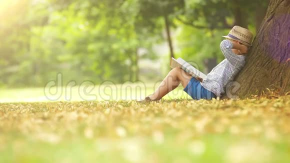 阳光明媚的一天男孩坐在树旁看书视频的预览图