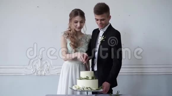 美丽的新娘和英俊的新郎正在切婚礼蛋糕视频的预览图