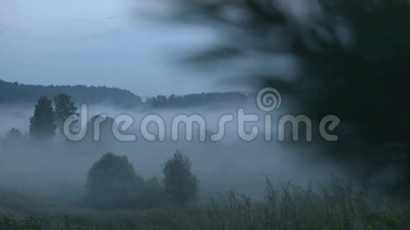 雾在田野上夏天视频的预览图