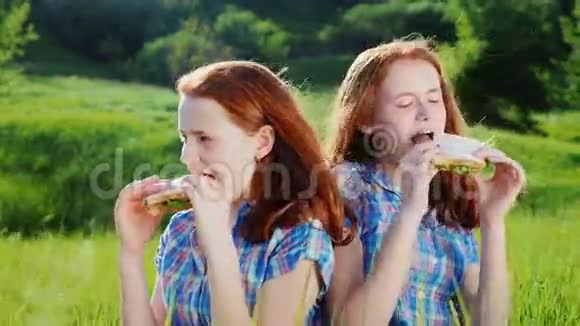 两对十几岁女孩的双胞胎吃三明治在绿色草地上风景如画的地方在清澈的春天举行家庭野餐视频的预览图