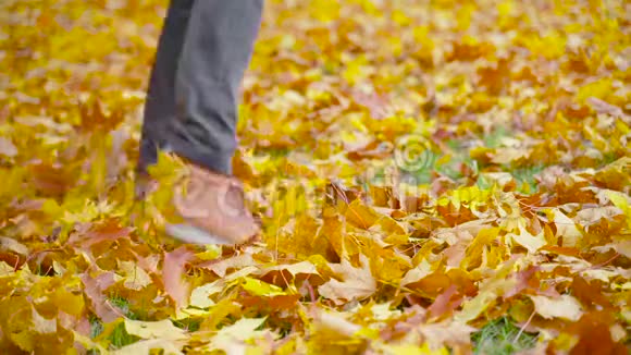 穿皮鞋的人在落叶上玩得很开心视频的预览图