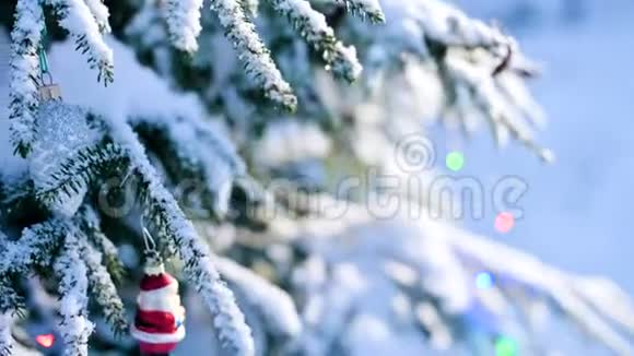 在一个真正的冬天戴着手套的贴身雌性手从一棵白雪覆盖的新年树树枝上摘下玩具视频的预览图