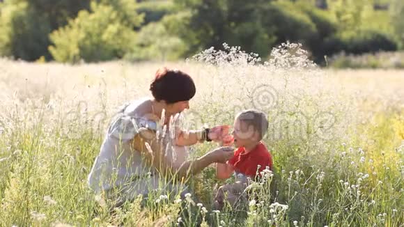 家庭假日在大自然母子漫步在夏天的田野视频的预览图