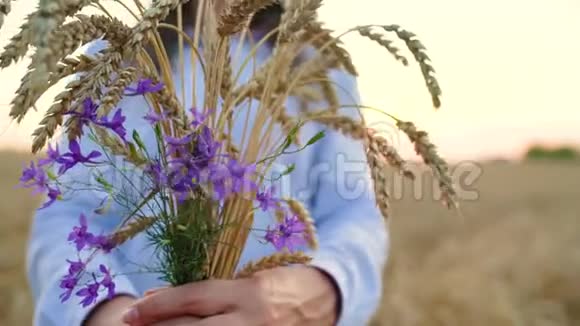 女人拿着一束麦穗和田野上的花视频的预览图