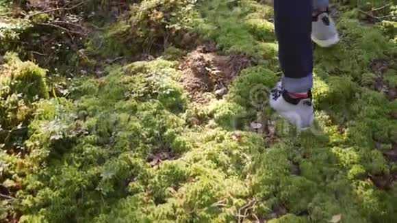 年轻的混合种族女性在绿色苔藓上行走亚洲女孩在美丽的秋天森林徒步旅行生活方式慢动作4K视频的预览图