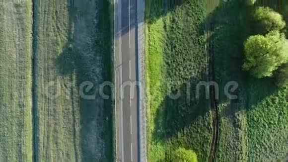 4K空中拍摄的日出时分一辆汽车在绿野之间的公路上行驶视频的预览图