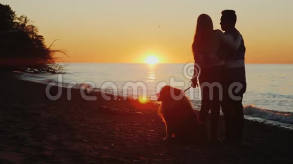 一对啜泣的年轻夫妇将欣赏安大略湖上美丽的日落视频的预览图