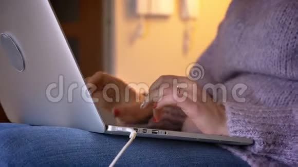 在室内一间舒适的公寓里女性手在笔记本电脑上打字的特写镜头视频的预览图