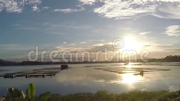 在湖中央的竹子养殖结构和睡莲上日落视频的预览图