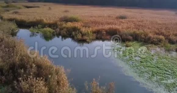 阿尔塞里奥湖峡谷灌丛视频的预览图