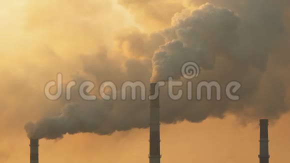 植物排放有害的烟雾视频的预览图