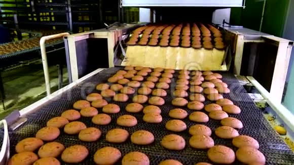 糖果厂烘焙饼干生产线选择性重点视频的预览图