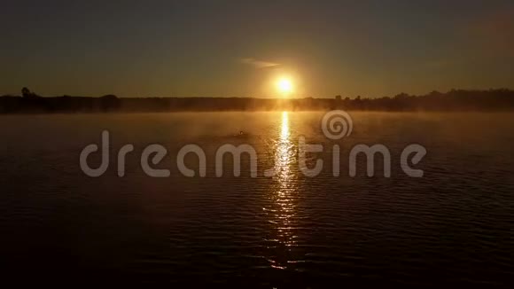 空中专业游泳运动员在日出时在湖中训练视频的预览图