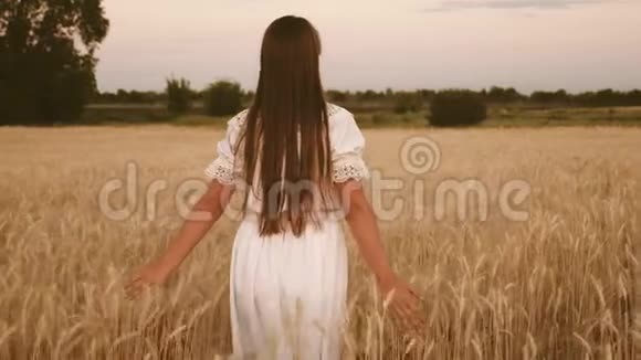 女孩在田野里旅行生态旅游的概念快乐的女孩走过一片黄麦地摸着耳朵视频的预览图