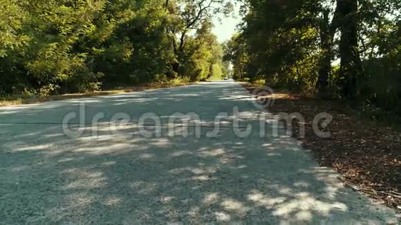 一辆车在一条长满树木的乡村道路上行驶视频的预览图