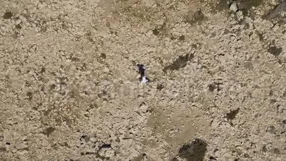 在沙漠中奔跑的人的俯视图库存探索冒险的旅行者视频的预览图