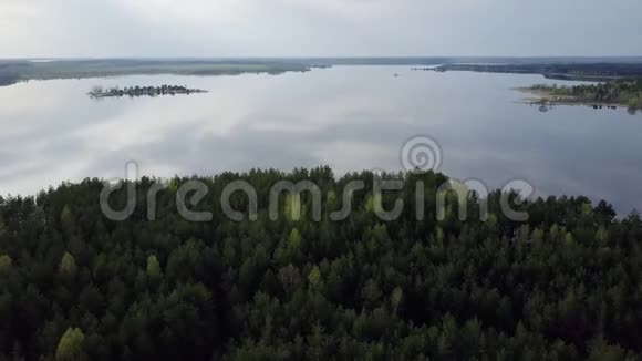 有小岛的大湖绿色森林TT视频的预览图