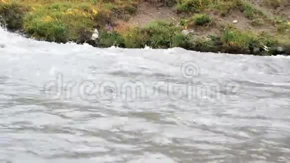 波涛汹涌的山河美丽的天然洪流山洪泥河湍急的河水肆虐视频的预览图