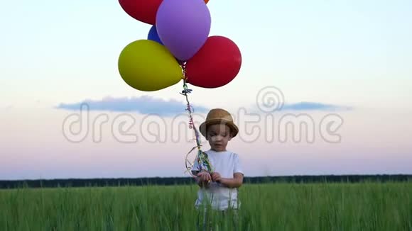 两岁的男孩站在田野里向天空释放气球视频的预览图