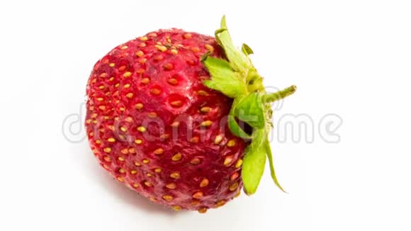 草莓在白色背景下腐烂的时间流逝视频的预览图