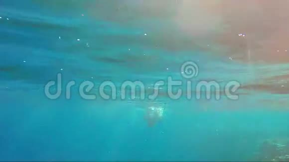 一个年轻人带着面具和管子潜入海里在美丽的阳光下犁到底部在那里视频的预览图