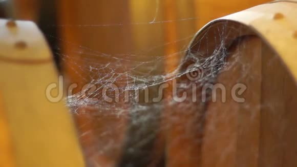 桶上的蜘蛛网视频的预览图