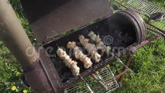 烧烤串上的鸡肉用木炭烹制视频的预览图