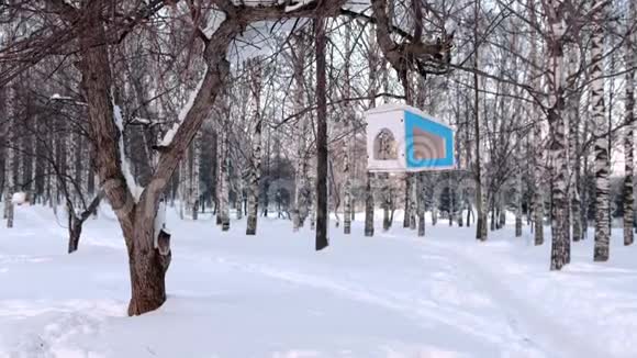 冬季森林公园树上的木制鸟饲养器视频的预览图