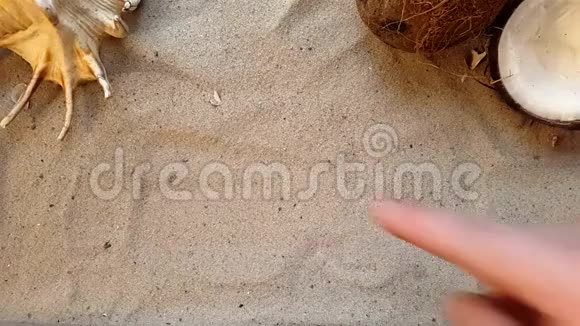 在沙滩上用贝壳和椰子写Spa这个词视频的预览图