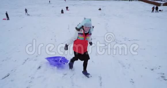 参加雪橇比赛视频的预览图