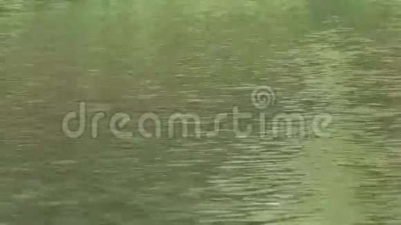 河流流量水面视频的预览图