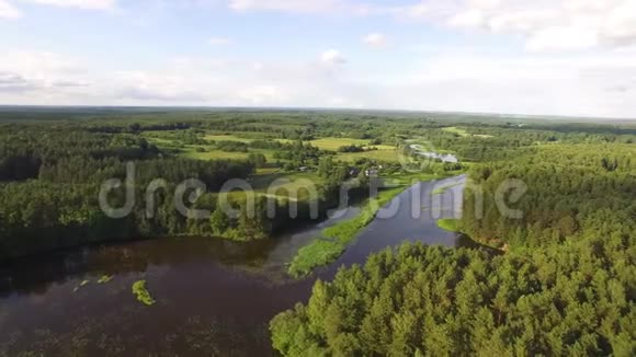 令人惊叹的欧洲白俄罗斯野性松林中的河流田野村庄湖泊美景施特察河视频的预览图