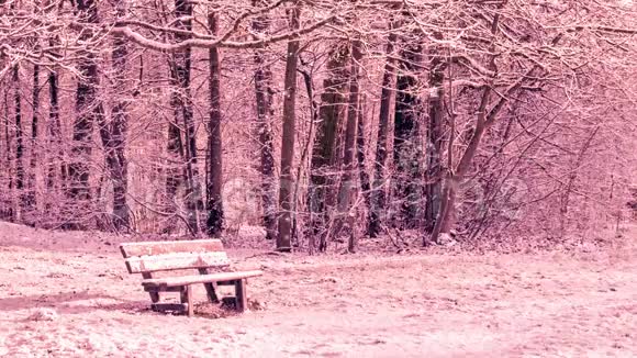 无缝环在森林的长凳上下雪冬天的景象视频的预览图